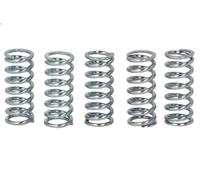 Set molle frizione TRW MEF142-5