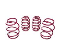 Kit Molle Assetto Vogtland 951044 per BMW 3er E46