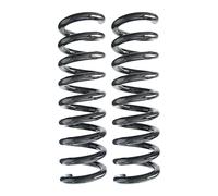 Set Molle Sospensione Assale Posteriore SPIDAN, 100mm, 345mm, Ø13,75mm