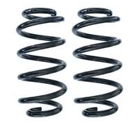 Set molle sospensione asse posteriore Molla elicoidale Ø116mm SPIDAN per