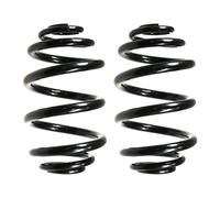 Set Molle Sospensione Posteriore Miniblock Ø 146mm SPIDAN per u.a. BMW 3er