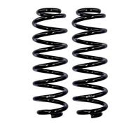 Set Molle Sospensione Posteriori EIBACH R22919, 8,3 Giri, Ø14mm