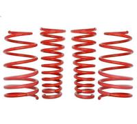 Set molle sospensioni EIBACH E10-10-004-01-22 per GT (937_) 2 2003-2010