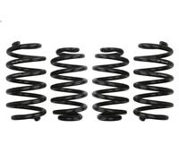 Set molle sospensioni EIBACH E10-15-003-04-22 per AUDI A4 B7 (8EC) 2 2005-2008