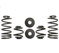 Set molle sospensioni EIBACH E10-15-004-03-22 per AUDI A3 (8L1) 1.8 2001-2003