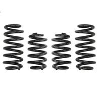 Set molle sospensioni EIBACH E10-15-008-03-22 per AUDI A6 C6 (4F2) 3 2004-2006
