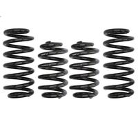 Set molle sospensioni EIBACH E10-15-008-08-22 per A6 C6 Avant (4F5) 3 2008-2011