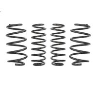 Set molle sospensioni EIBACH E10-15-014-03-22 AUDI A1 (8X1, 8XK) 2 2011-2015