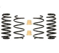 Set molle sospensioni EIBACH E10-15-021-10-22 per AUDI A3 (8V1, 8VK) 2 2016-2017