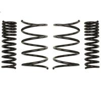 Set molle sospensioni EIBACH E10-25-001-01-22 per CLK (C209) 1.8 2003-2009