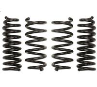 Set molle sospensioni EIBACH E10-25-036-01-22 CLASSE C (W205) 2 2013-2018