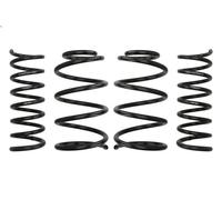 Set molle sospensioni EIBACH E10-35-016-02-22 per FOCUS II 2 2004-2012