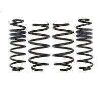 Set molle sospensioni EIBACH E10-35-020-01-22 per FORD FIESTA VI Van 1 2013-2017