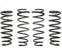 Set molle sospensioni EIBACH E10-55-010-01-22 per MX-5 III (NC) 1.8 2005-2014