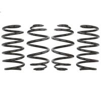 Set molle sospensioni EIBACH E10-65-011-01-22 per SIGNUM Hatchback 1.8 2003-2005