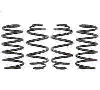 Set molle sospensioni EIBACH E10-65-011-01-22 SIGNUM Hatchback (Z03) 1.8 2003-