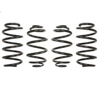 Set molle sospensioni EIBACH E10-65-011-03-22 per SIGNUM Hatchback (Z03) 3 2003-