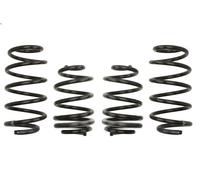 Set molle sospensioni EIBACH E10-75-008-11-22 per CLIO III 2 2006-2014