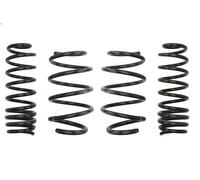 Set molle sospensioni EIBACH E10-75-012-03-22 per MEGANE III Grandtour 2 2009-