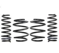 Set molle sospensioni EIBACH E10-75-012-05-22 per MEGANE III Coupé 2 2008-2016