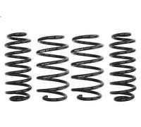 Set molle sospensioni EIBACH E10-79-004-02-22 SKODA OCTAVIA II (1Z3) 2 2004-2008