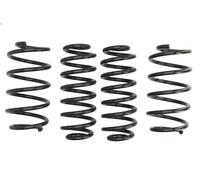 Set molle sospensioni EIBACH E10-79-004-03-22 per OCTAVIA II Combi (1Z5) 2 2004-