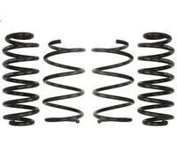 Set molle sospensioni EIBACH E10-79-010-01-22 per SEAT LEON ST (5F8) 1 2015-202