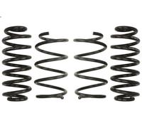 Set molle sospensioni EIBACH E10-79-010-01-22 per SEAT LEON ST (5F8) 1 2015-2020