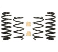 Set molle sospensioni EIBACH E10-79-012-02-22 per VW TOURAN (5T1) 1 2018-2019