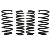 Set molle sospensioni EIBACH E10-85-001-14-22 per VW GOLF IV (1J1) 2.3 1997-2000