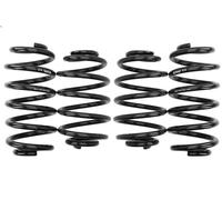 Set molle sospensioni EIBACH E10-85-002-06-22 VW PASSAT B5.5 (3B3) 2 2003-2005