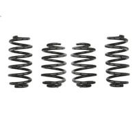 Set molle sospensioni EIBACH E10-85-002-09-22 per PASSAT B5.5 Variant 2 2003-