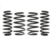 Set molle sospensioni EIBACH E10-85-014-07-22 per VW GOLF V (1K1) 2 2004-2008