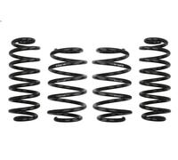 Set molle sospensioni EIBACH E10-85-014-14-22 per GOLF V Variant (1K5) 2 2007-