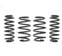 Set molle sospensioni EIBACH E10-85-014-16-22 per VW GOLF V (1K1) 2 2004-2008