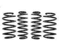 Set molle sospensioni EIBACH E10-85-016-08-22 per VW CC B7 (358) 2 2011-2016