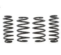 Set molle sospensioni EIBACH E10-85-022-01-22 per VW GOLF VI (5K1) 2 2008-2012