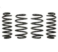 Set molle sospensioni EIBACH E10-85-022-02-22 per VW GOLF VI (5K1) 2 2008-2013