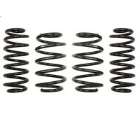 Set molle sospensioni EIBACH E10-85-031-02-22 per JETTA IV 2 2010-2014