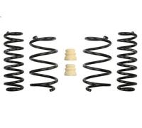 Set molle sospensioni EIBACH E10-85-041-09-22 per GOLF VII Van (5G1) 2 2013-2014