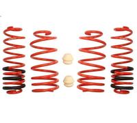 Set molle sospensioni EIBACH E20-15-004-02-22 per AUDI A3 (8L1) 1.8 1998-2003