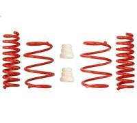 Set molle sospensioni EIBACH E20-20-031-02-22 BMW 3 Touring (F31) 2 2012-2015