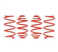 Set molle sospensioni EIBACH E20-65-013-01-22 per ASTRA H (A04) 1.4 2004-2004