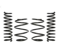 Set molle sospensioni EIBACH E2053-14 per BMW 5 (E39) 2 1996-2003