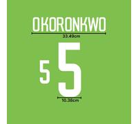 Set nome casa Nigeria 2002 - scegli il kit ventola patch trasferimento...