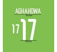 Set nome casa Nigeria 2002 - scegli il kit ventola patch trasferimento...