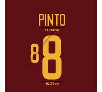 Set nome casa Portogallo 2002 - scegli il kit ventola patch trasferimento...