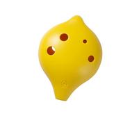 Set Ocarina I Principianti Praticano Lo Strumento Professionale In Chiave C Acuta Del Flauto In Ceramica A Sei Fori