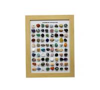 Set of 80 Mini Natural Ores Specimens Unique Educational Rock Collection for Office Decor