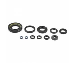 Set paraoli, motore ATHENA P400485400035
